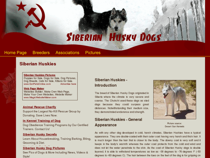 www.siberian-husky-dogs.com