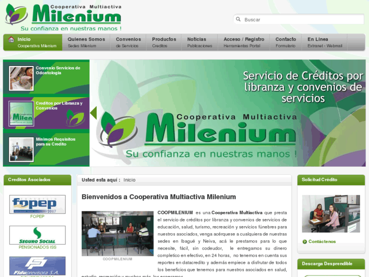 www.coopmilenium.com