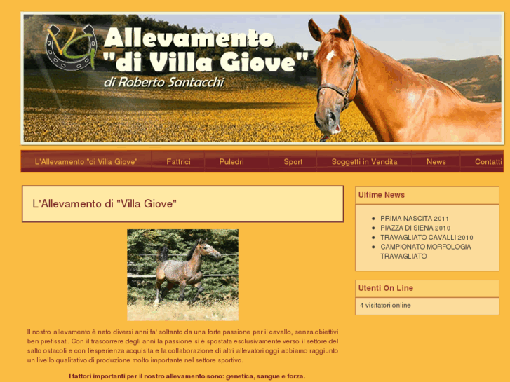 www.divillagiove.it