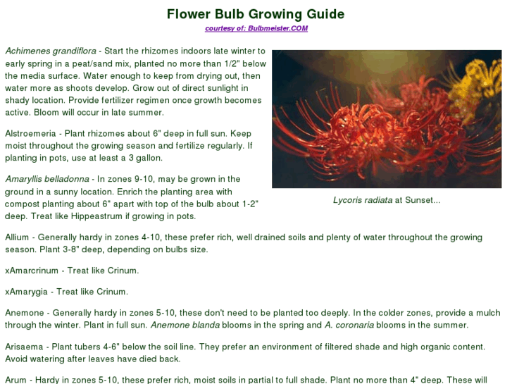 www.floweringbulbs.info