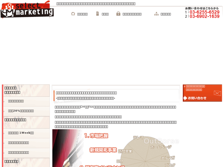 www.selectmarketing.co.jp