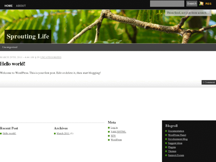 www.sproutinglife.com