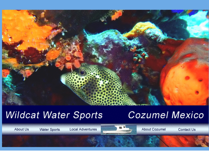 www.wildcatcozumel.com