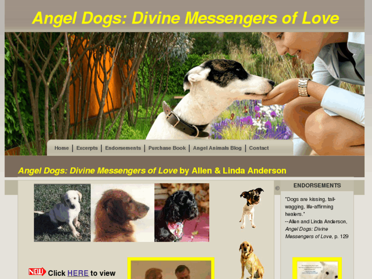 www.angeldogsbook.com