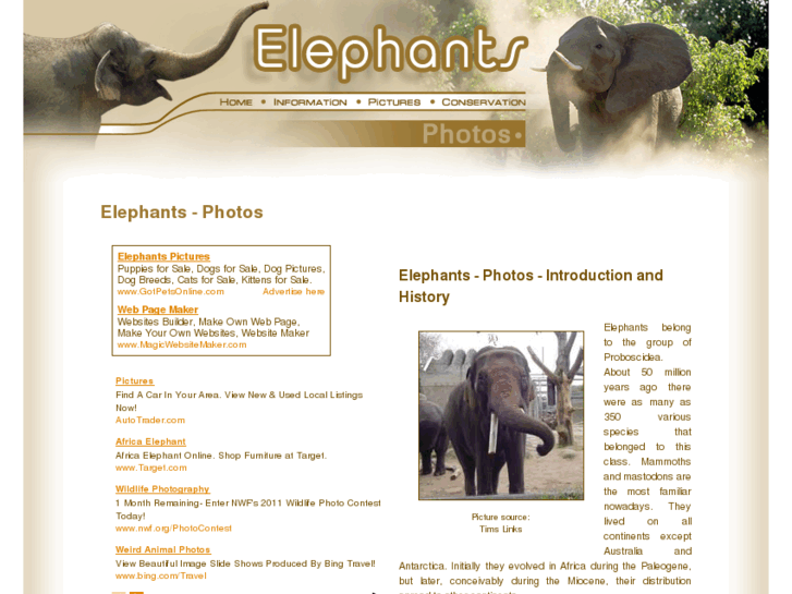 www.elephants-photos.com