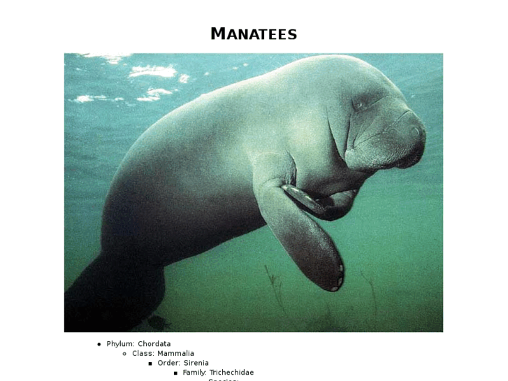 www.manatees.net