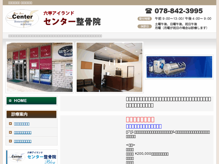 www.ric-seikotu.com