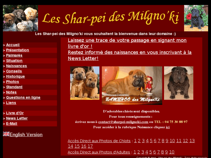 www.sharpei-milgnoki.com