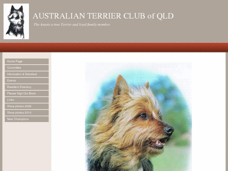 www.aussieterrierclubqld.com