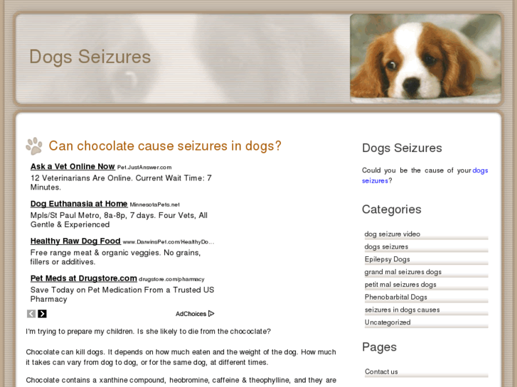 www.dogs-seizures.com