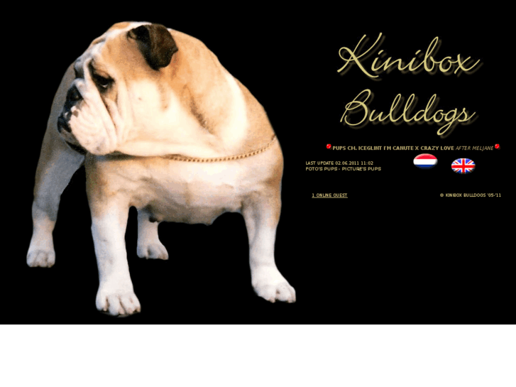 www.kinibox-bulldogs.nl