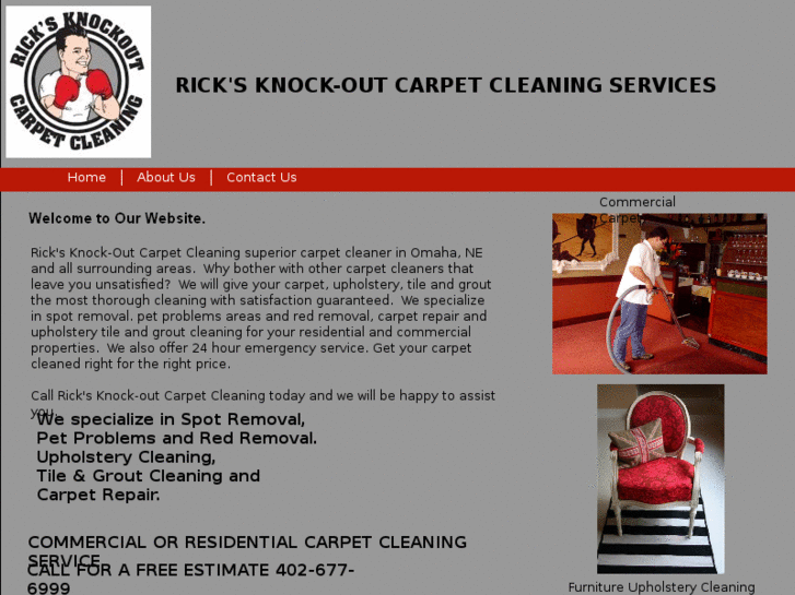 www.ricksknock-outcarpetcleaning.net