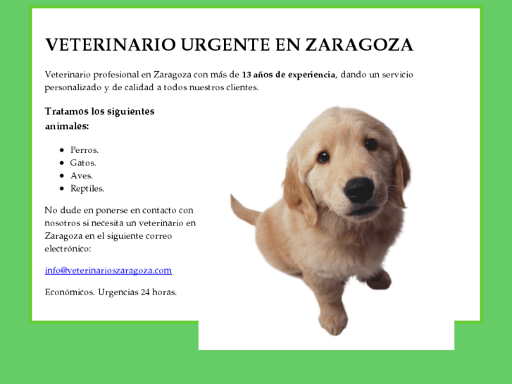 www.veterinarioszaragoza.com