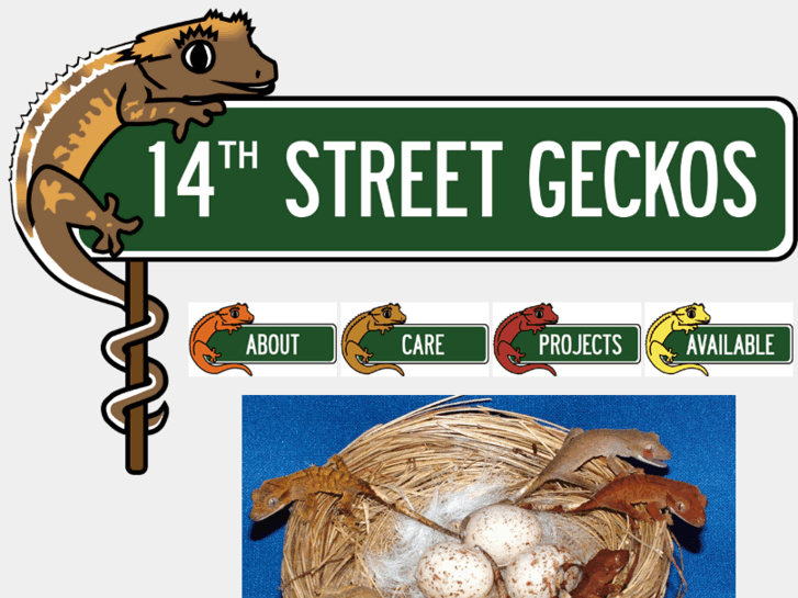 www.14thstreetgeckos.com