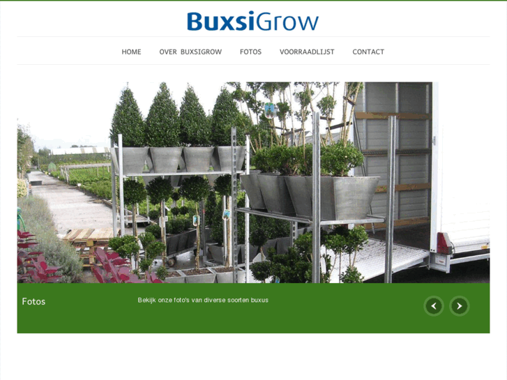 www.buxsigrow.nl