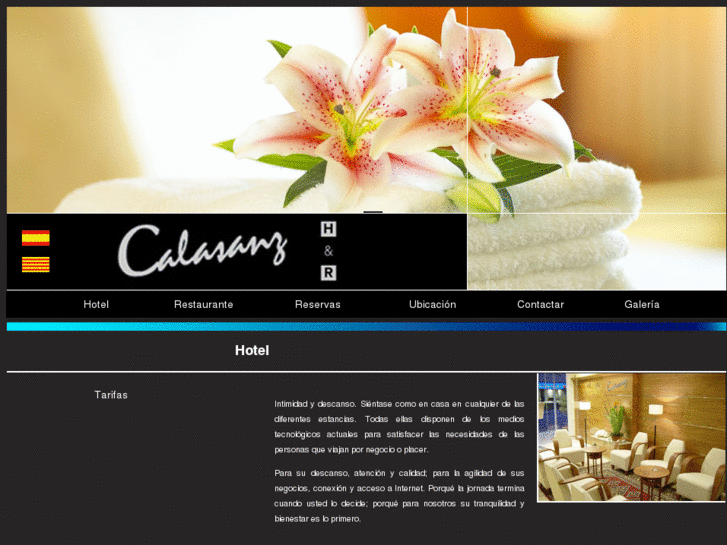 www.hotelcalasanz.com