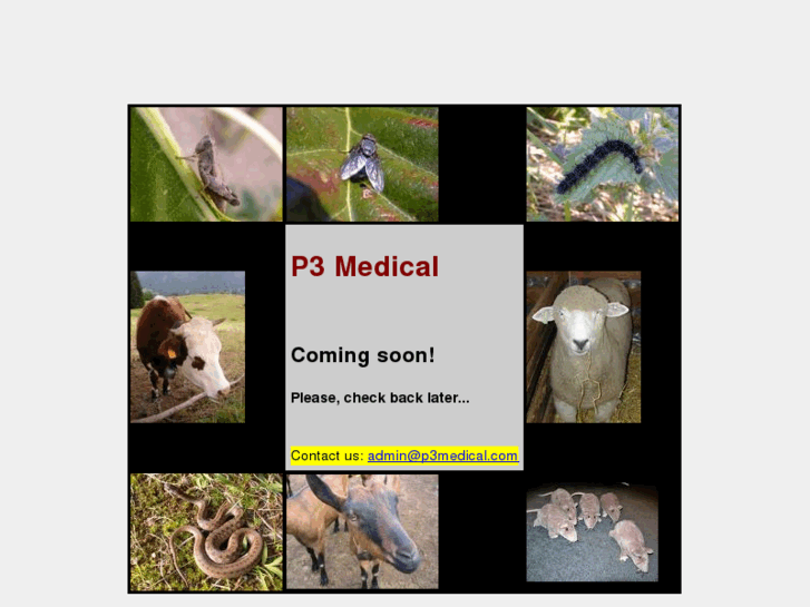 www.p3medical.com