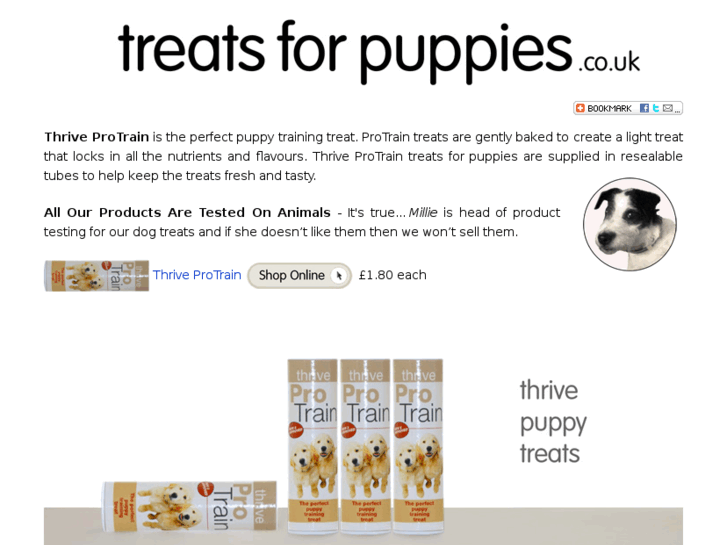 www.treatsforpuppies.co.uk