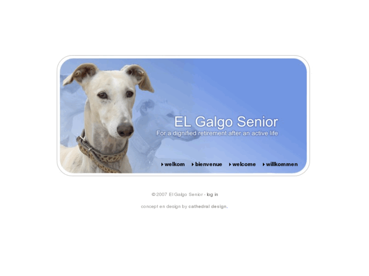 www.elgalgosenior-be.org