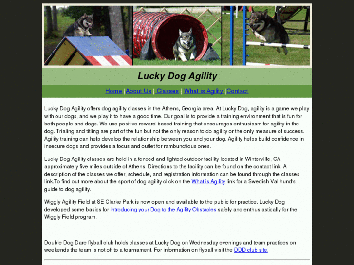 www.luckydogagility.com