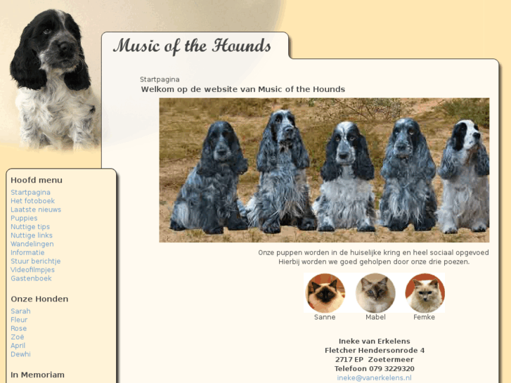 www.music-of-the-hounds.nl