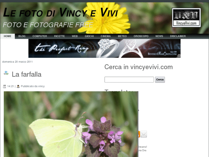 www.vincyevivi.com