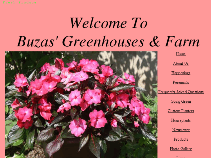 www.buzasgreenhouseandfarm.com