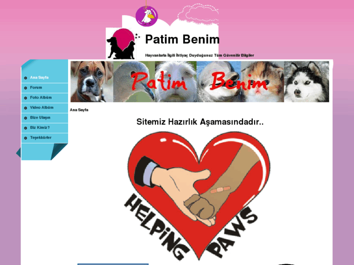 www.patimbenim.com