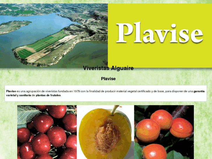 www.plavise.com