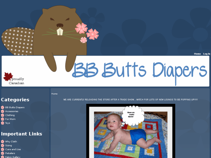 www.bbbuttsdiapers.com