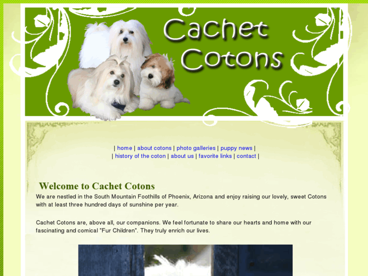 www.cachetcotons.com