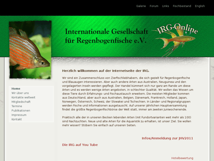 www.irg-online.de