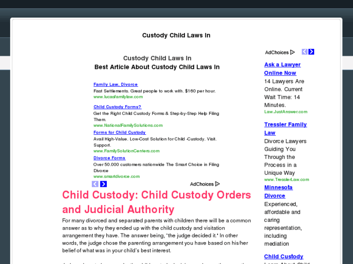 www.childcustodylawsin.com