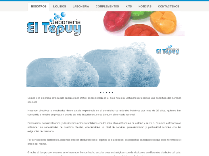 www.comercializadora-tepuy.com