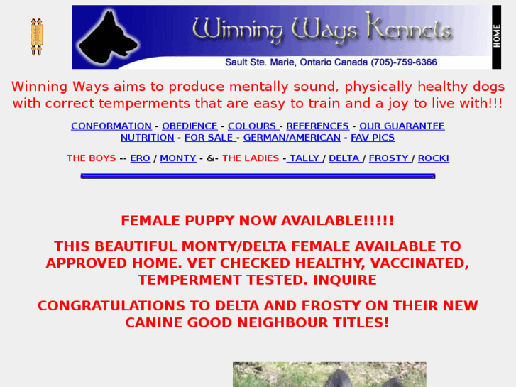 www.winninggermanshepherds.com