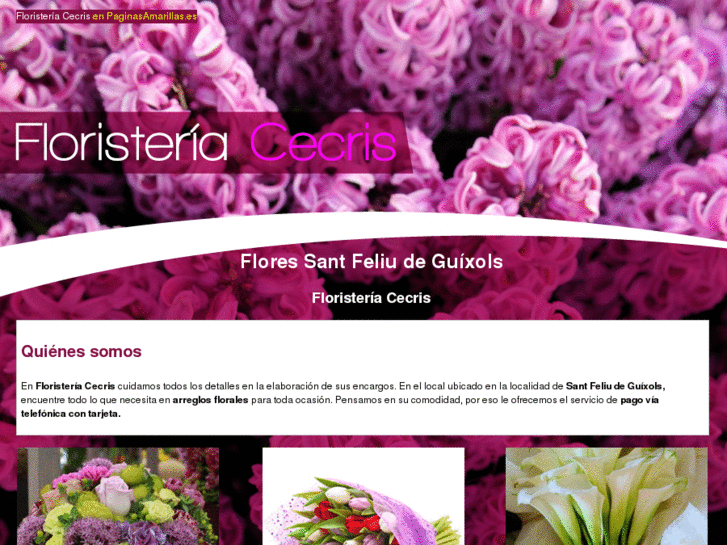 www.floristeriacecris.com