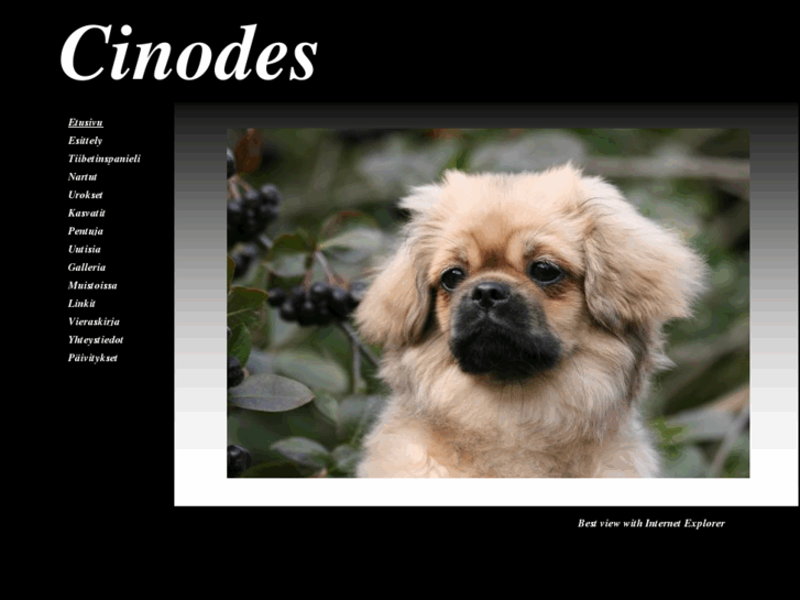 www.cinodes.com