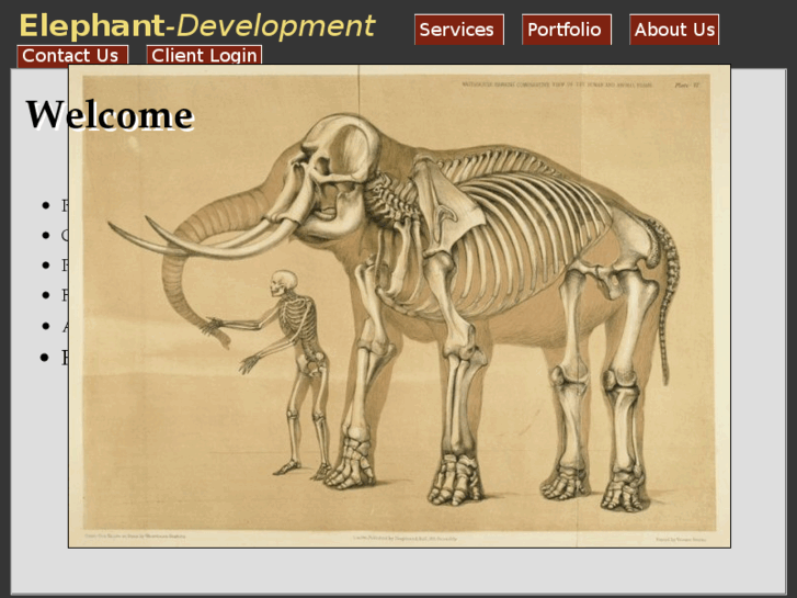 www.elephant-development.com