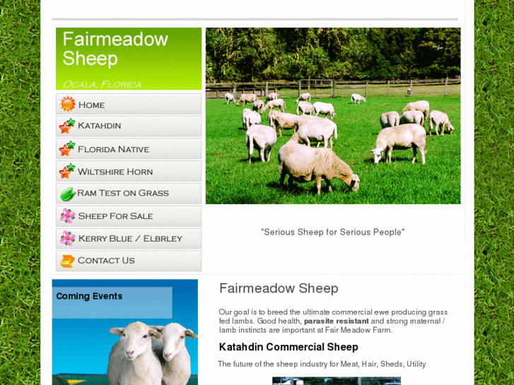 www.fairmeadowsheep.com