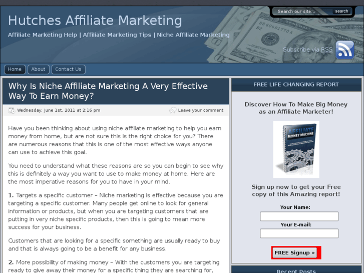 www.hutchesaffiliatemarketing.com