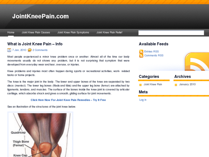 www.jointkneepain.com