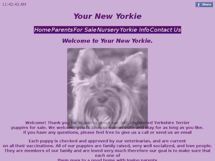 www.yournewyorkie.com