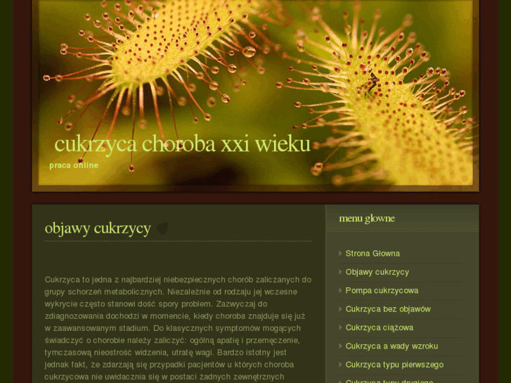 www.cukrzyk.net