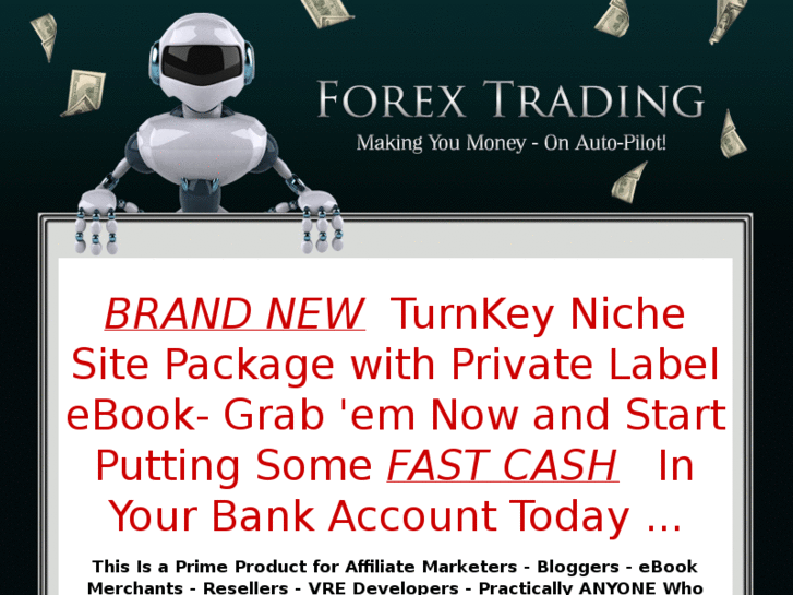 www.forextradingturnkeysite.com