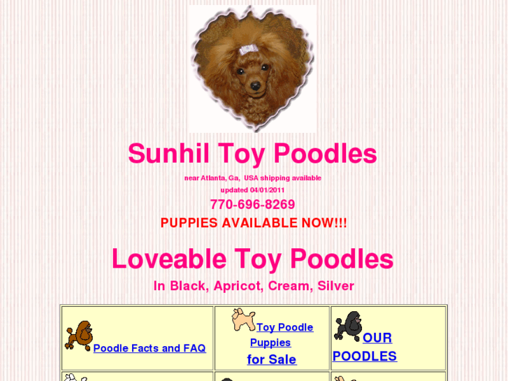 www.toy-poodles.us