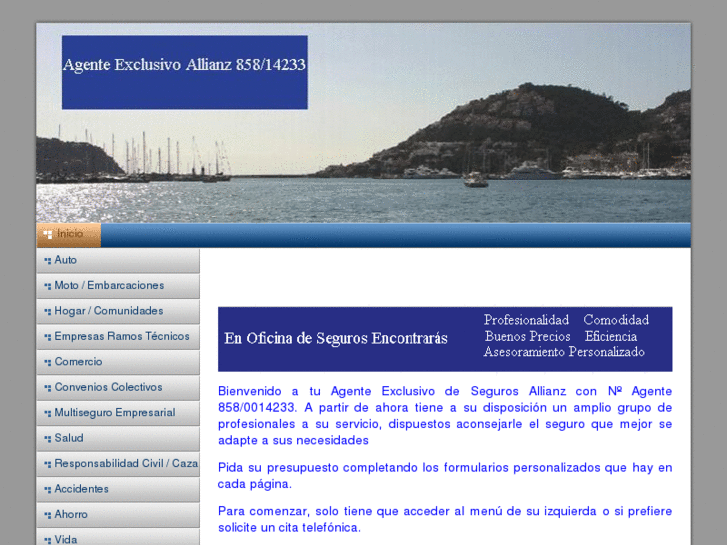www.allianzonline.es
