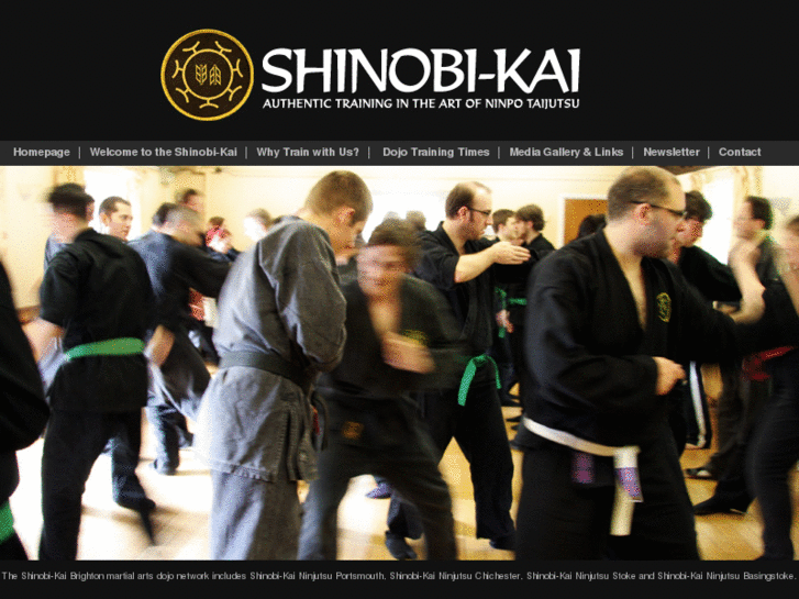 www.shinobi-kai.net