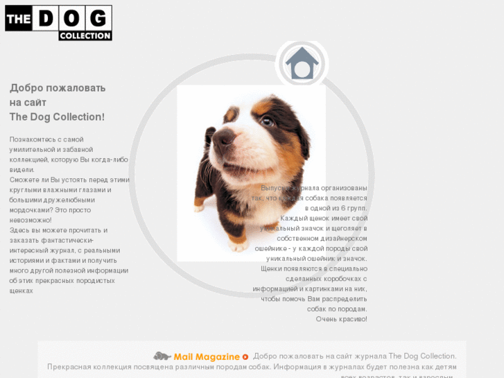 www.the-dog-collection.ru