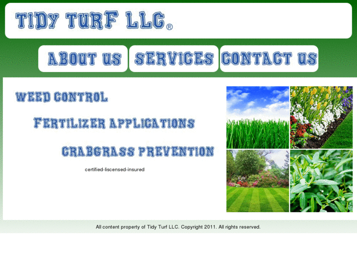 www.tidyturfllc.com