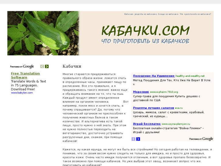www.kabachki.com